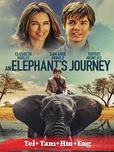 An Elephants Journey